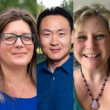 Image of Cecily Talerico, Jae Sung Park, and Trista Richardson