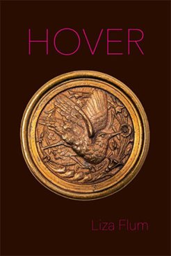 Hover, by Liza Flum