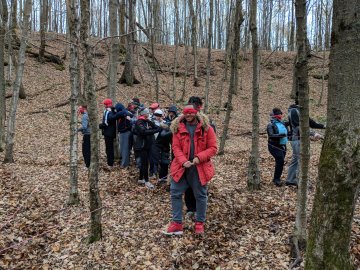 Wellness and Adventure - Woods 01